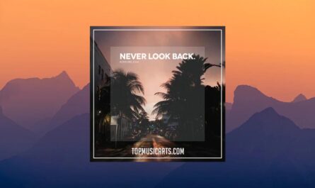 Top Music Arts Boris Brejcha Never Look Back [Ableton Remake] (WAV, Ableton Project)